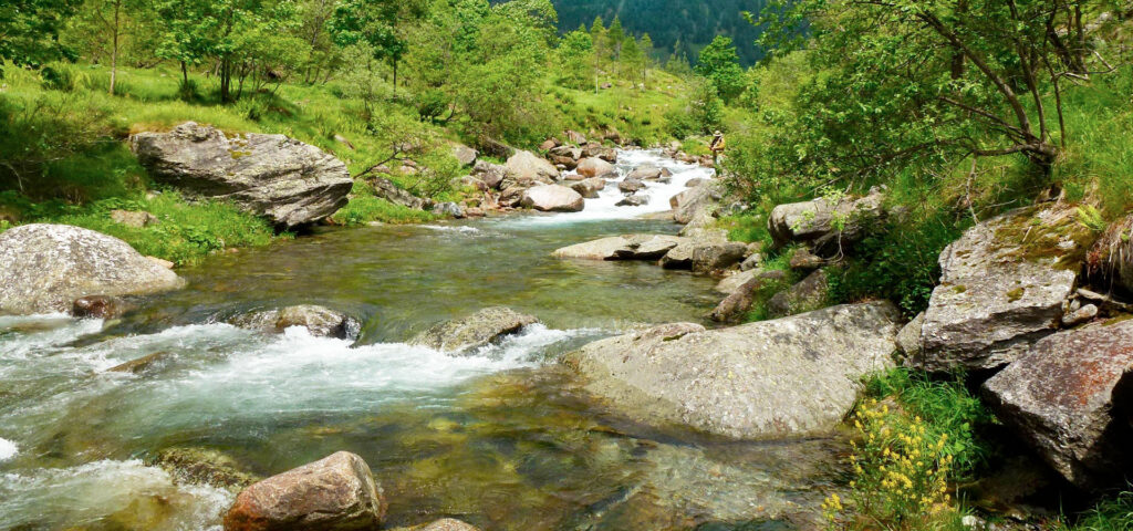 flyfishersitaly home
