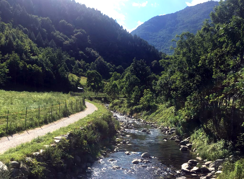 Fly fishing in Italy Val Camonica